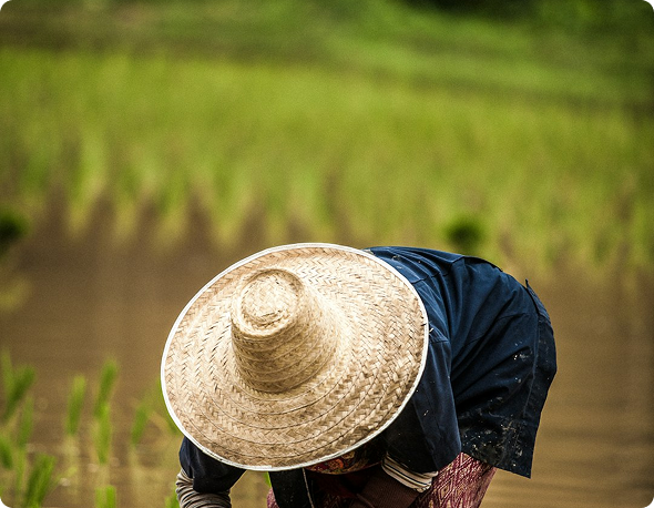 Bài viết Mẫu số 3