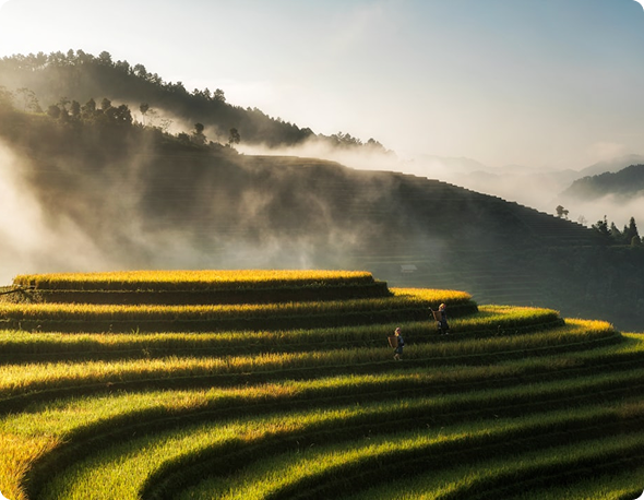 Cơ Hội Vàng Cho Nông Dân Và Doanh Nghiệp